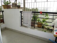 Balcony 1