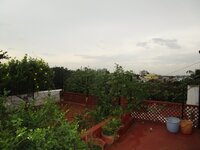 Terrace 1