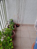 Balcony 1