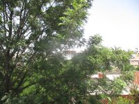 Balcony 1