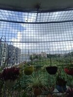 Balcony 1