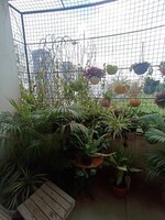 Balcony 1