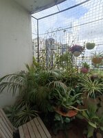 Balcony 1