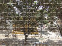Balcony 2