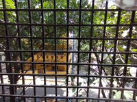 Balcony 1