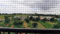 Balcony 1