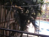 Balcony 2