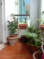 Balcony 1