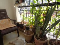 Balcony 1