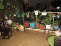 Balcony 1