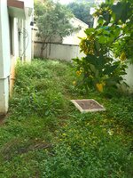 Garden 1