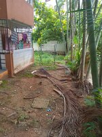 Garden 1