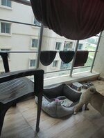 Balcony 1