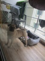 Balcony 1