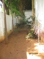 Garden 1