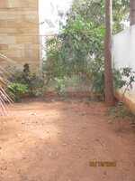 Garden 1