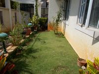 Front Yard 1