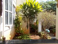 Front Yard 1