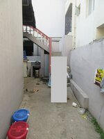 backYards 1