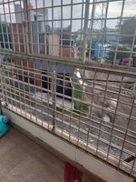 Balcony 1
