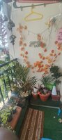 Balcony 1