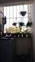 Balcony 2