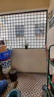 Balcony 4