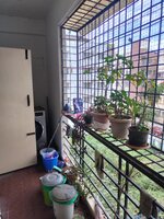 Balcony 2