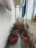Balcony 1
