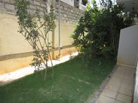 Garden 1