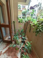 Balcony 1