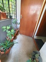 Balcony 2