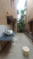 Back Yard 1