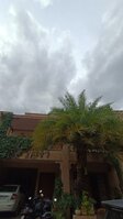 Garden 1