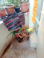 Balcony 2