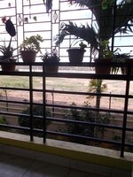 Balcony 1