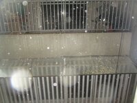Balcony 2