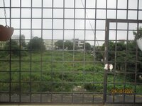 Balcony 1