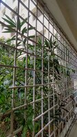 Balcony 2