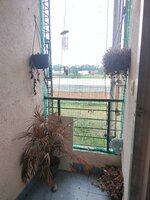 Balcony 1