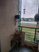 Balcony 1