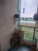 Balcony 1