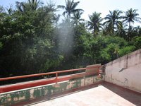 Garden 1