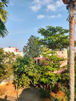 Terrace 1