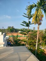 Terrace 1