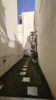 Garden 1