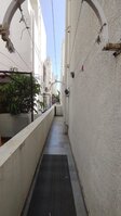 Garden 1