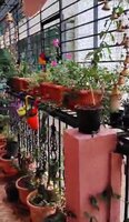 Balcony 1