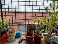 Balcony 1