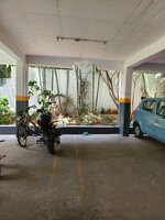 parkings 1